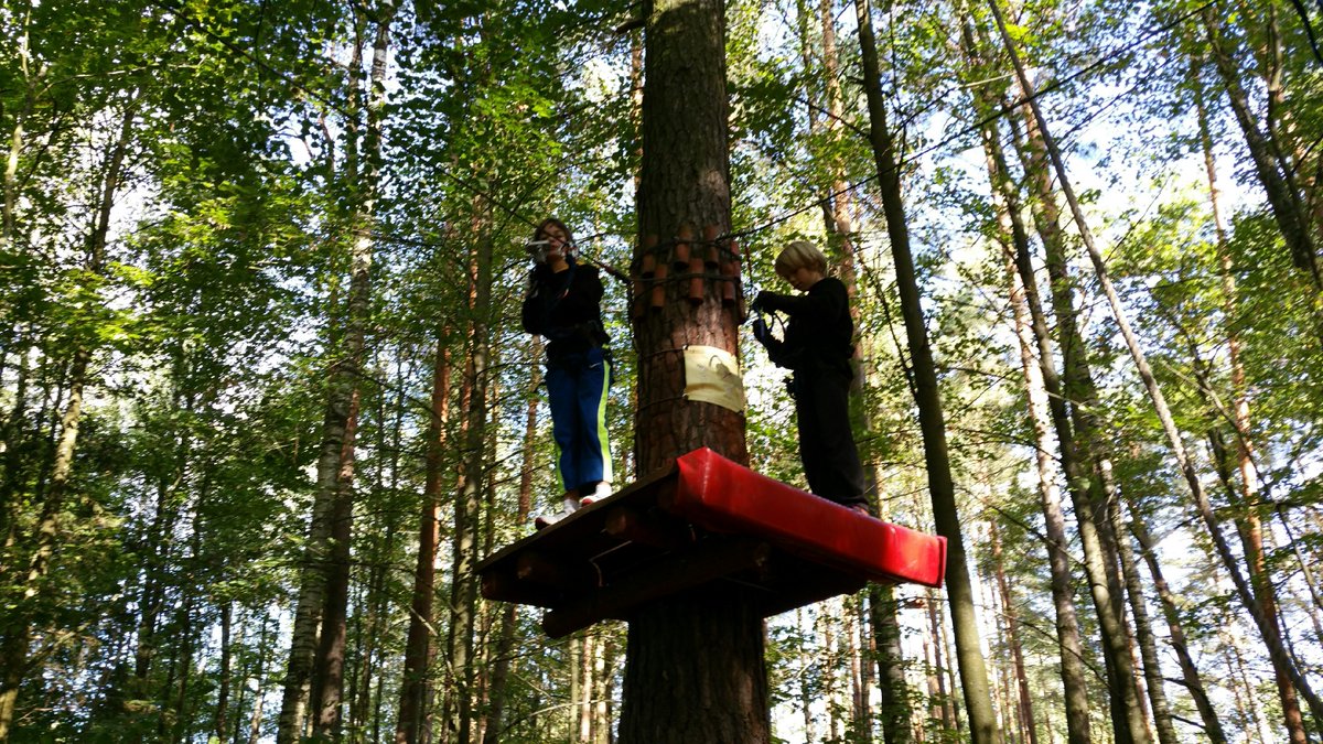 SportsAndrews's tweet photo. Tree surfing. http://t.co/bn5nVNlt8j