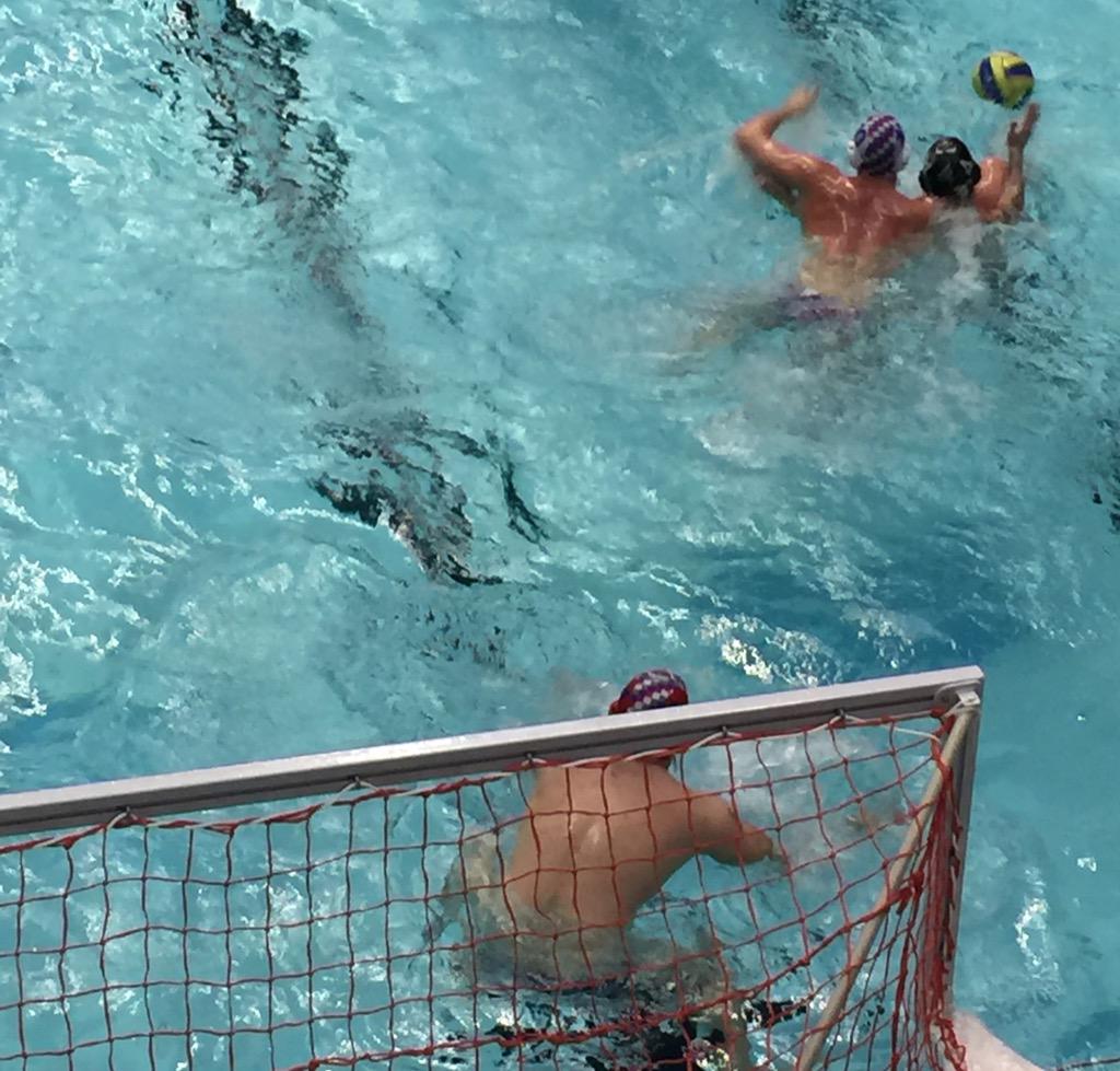 Sheffield is losing, but just 9-5, so they can! #comeonboys #comeonsheffield #gosheffieldgo