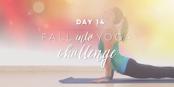 26thAndCrown's tweet photo. Finished my #FallIntoYoga challenge! @myyogaworks 🎉 http://t.co/hGrGdB4Y9g