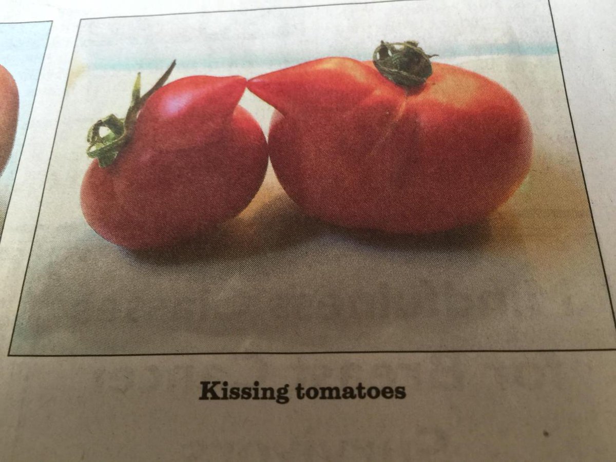 realssullivan's tweet photo. We are hungry for deeper connections which is why @NathanFillion and @Stana_Katic on #Castle are so nourishing. #love http://t.co/2zegne2l9z