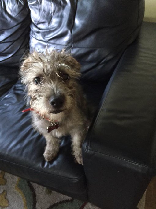 Cutie pie http://t.co/8x1XaW7pgF<a href="/tag/mvsales"class="tags"><span>#mvsales</span></a>