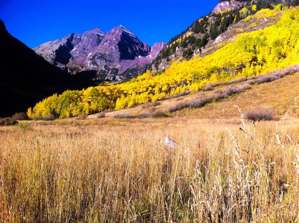 BounceBack303's tweet photo. #HappySaturday  The mountains are... #LeafPeeping
https://t.co/3zZ1BjUWSH
(Via @Naropa_Kelly (📷: @jpapasso #COFall #Coloradical #FallColors