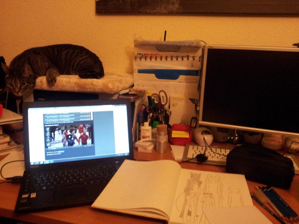 KitsuneChi's tweet photo. So kann der Sonntag gerne öfter sein. :) http://t.co/NJKZZwu79K