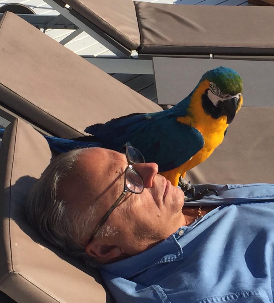 MARUIS veillant sur le repos de son maître 😏