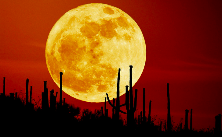 WeAreTeachers's tweet photo. Everything you need to know about the supermoon lunar eclipse happening TONIGHT! http://t.co/jaQz7I3yNq http://t.co/hsFSF2xjUI