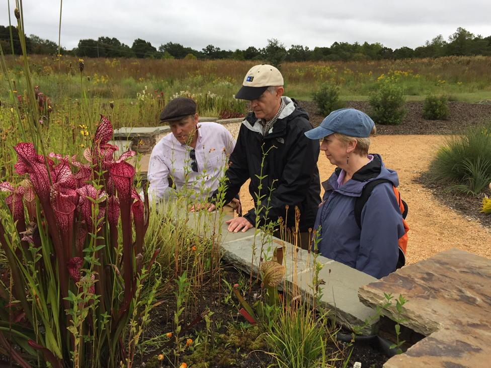 rhjones54's tweet photo. Clemson's world class naturalist Patrick McMillan in SC Botanical Gardens with Jeri Jones and Dudley Raynal. http://t.co/MVwhnWNna8