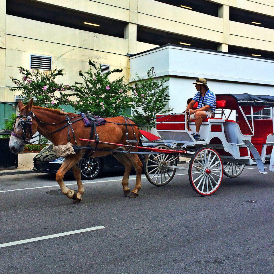 MarriottNOLA's tweet photo. One of our favorite ways to get around the #FrenchQuarter. #CarriageRide http://t.co/iVKuVPoFvE