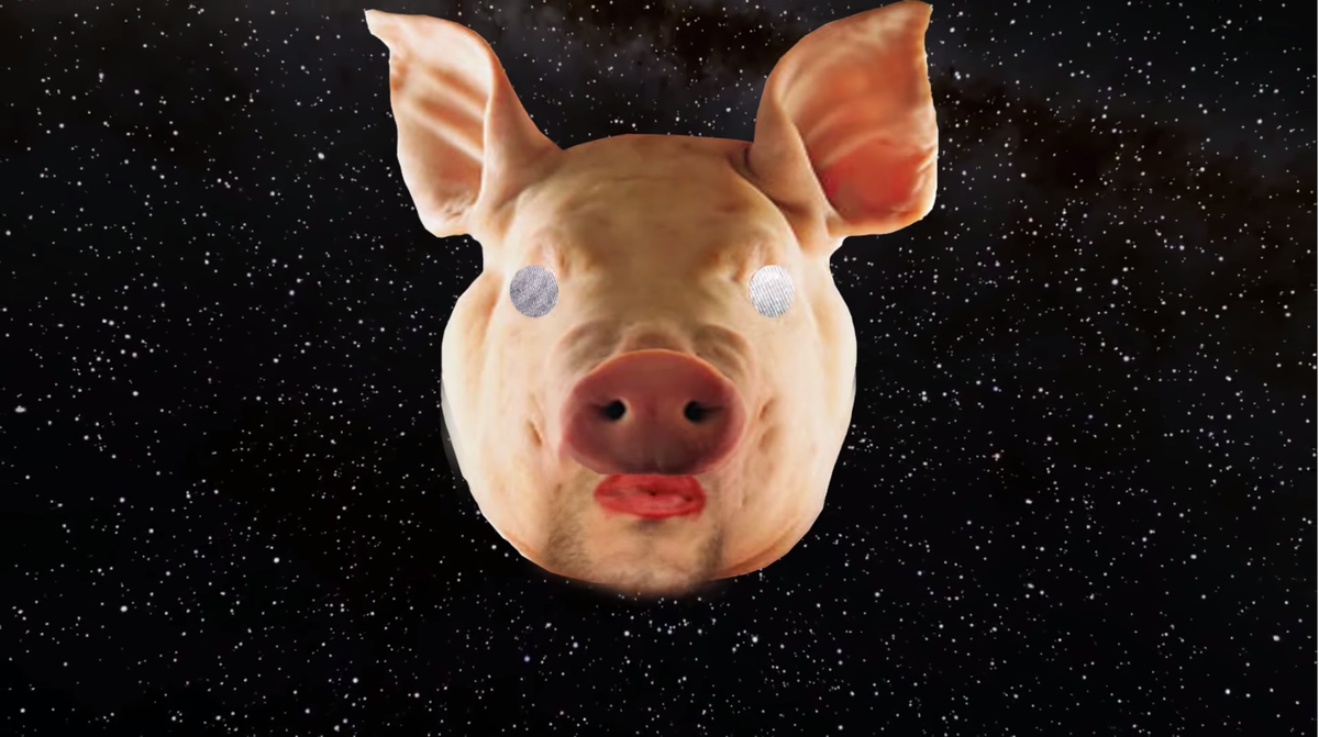 CLUNK Magazine tweet media