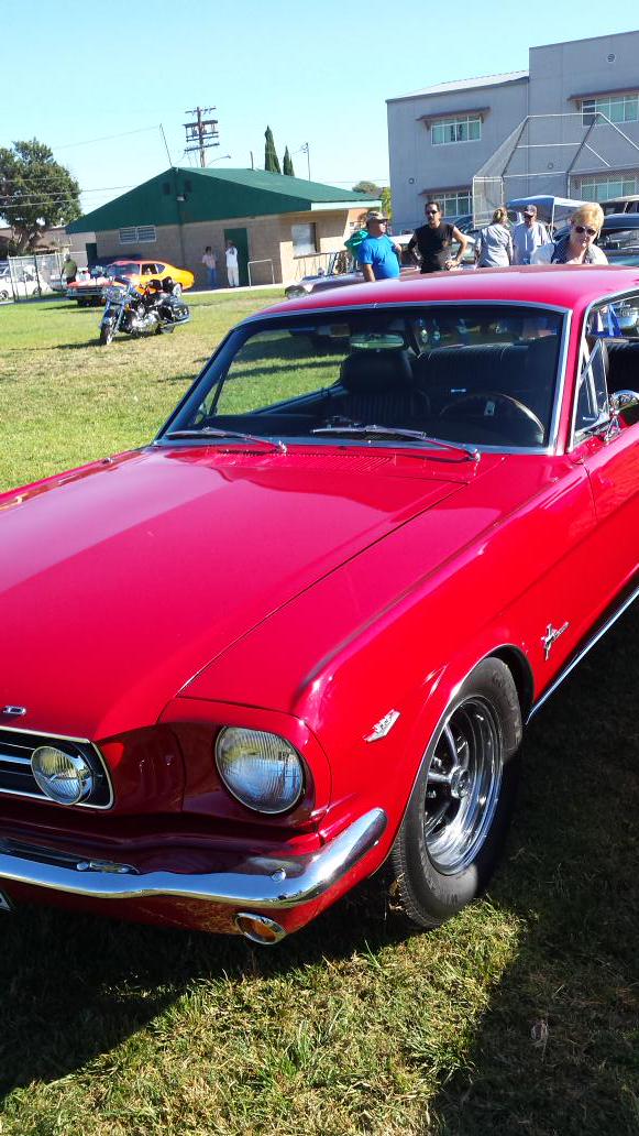 LisaThejocdr's tweet photo. 1965 #Mustang entered into classic car show http://t.co/L1BZ2vZkyL