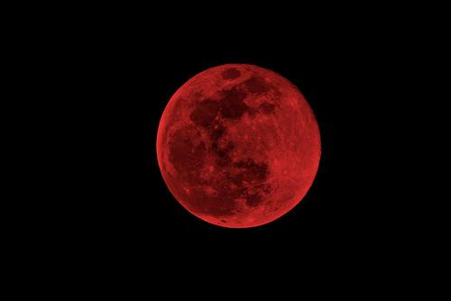 specialisedlife's tweet photo. "Inhale confidence. Exhale doubt"
A great time to choose to move forward with confidence! #Supermoon #bloodmoon #moon http://t.co/02ccPs1sCA