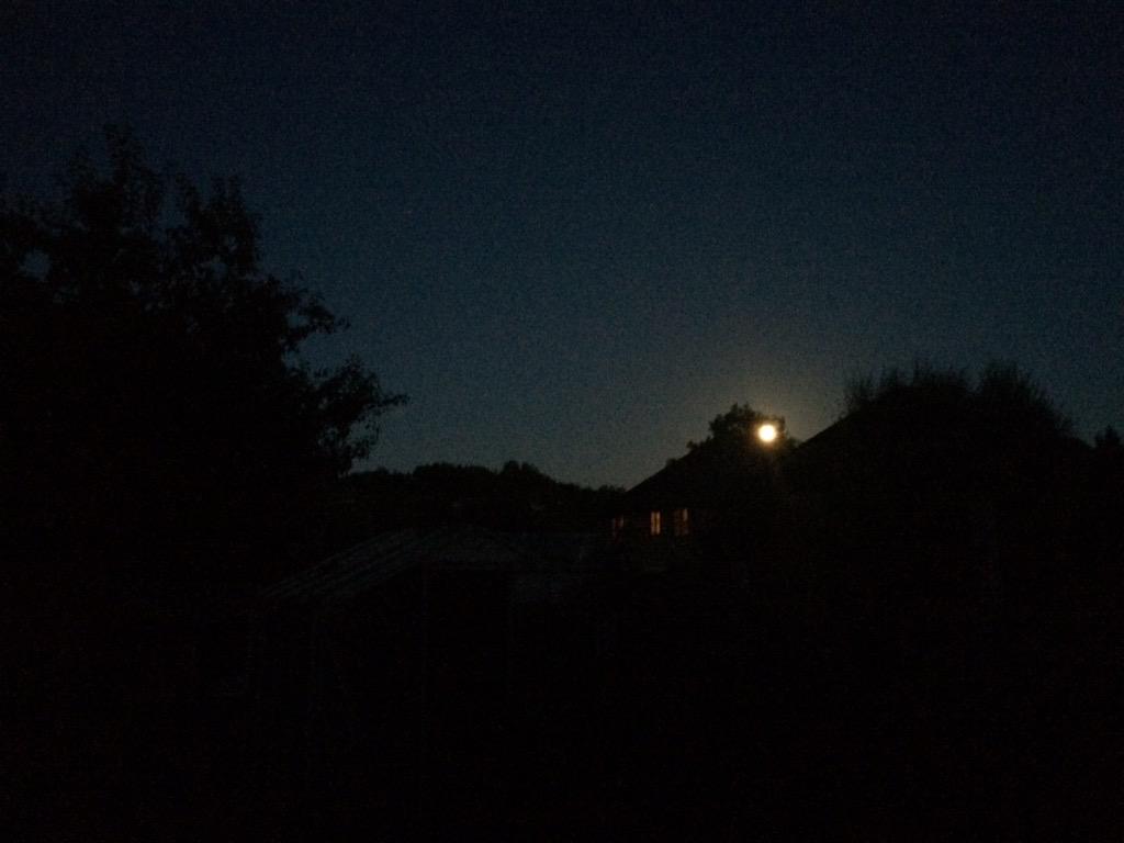 The moons up, there's a chill in the air and the wood burners on. Starting to feel a bit more like the fowling season