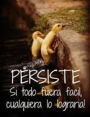 #FraseMotivadora ?? http://t.co/dr2mofTVXF