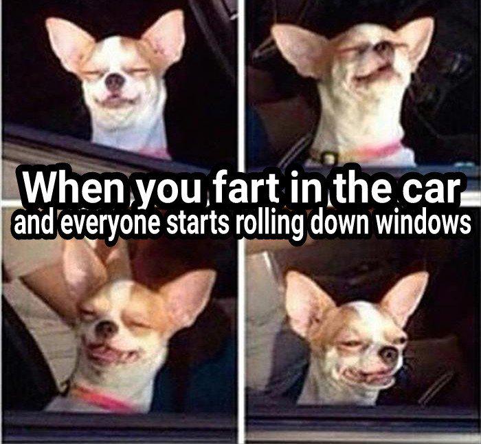 Ahh, the dark side of road trips. bit.ly/1gVvFim