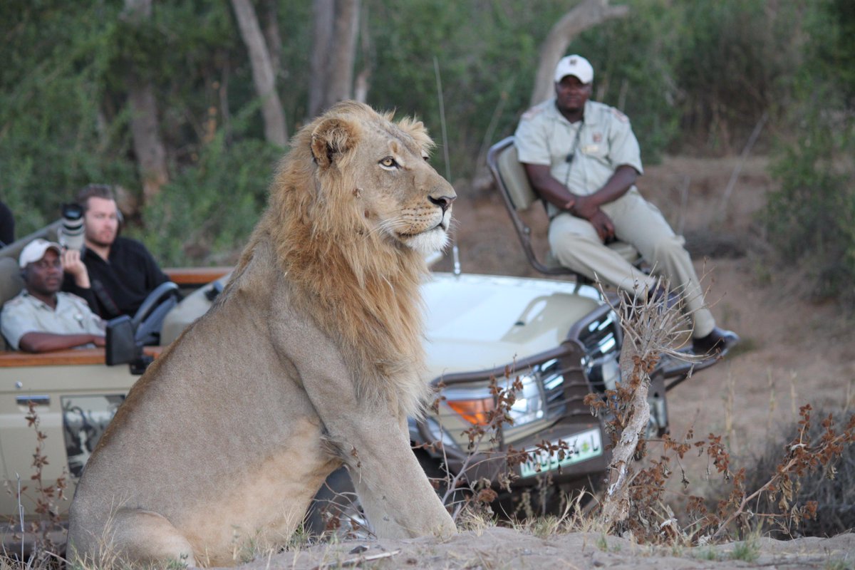 Still working through the 1,000's of <a href="/SouthAfrica/">Visit South Africa</a> photos but love this big boy! #takemeback #please #southafrica :)