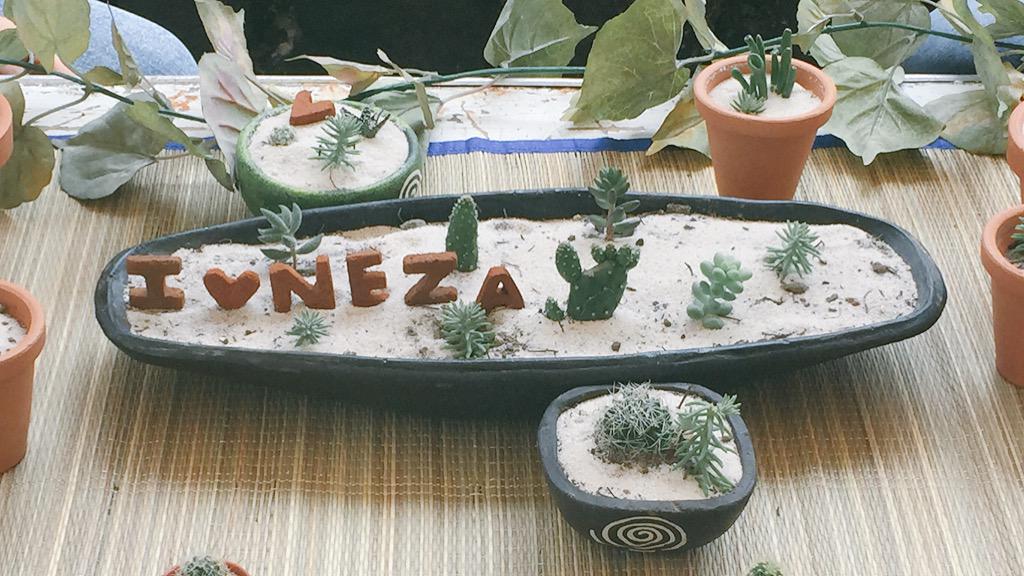 NezaEcologia's tweet photo. EcoNeza 2015 @GobNeza @CarlosAvilesOfi http://t.co/24agZ9dKck
