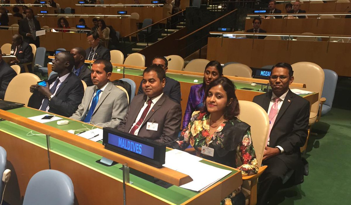 MoFAmv's tweet photo. Statement delivered by Minister Dunya at the #sustainabledevelopmentsummit http://t.co/tGVhjlvdpG http://t.co/xxbVl7Wz1i