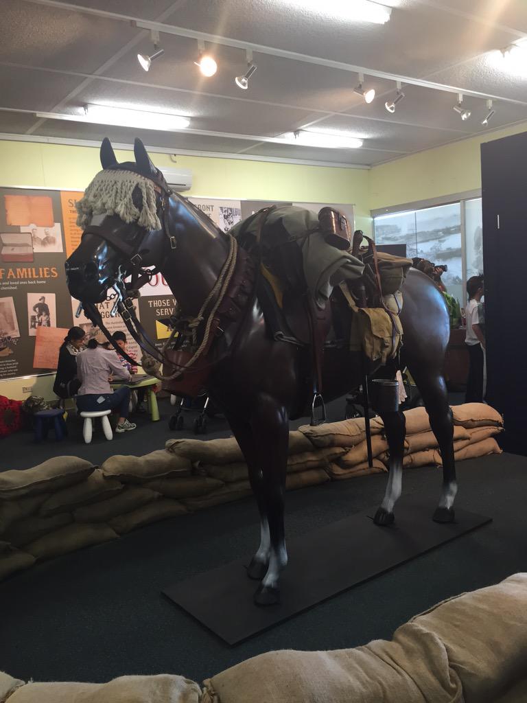 wa_legacy's tweet image. Some pics from inside the 10th Light Horse display - come and see us #PerthRoyalShow #perthnews #perthlegacy