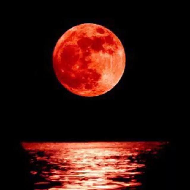 basicwhytechick's tweet photo. what people expect their pictures to look like tonight vs what they will look like #SuperBloodMoon http://t.co/aa74Mv7foK