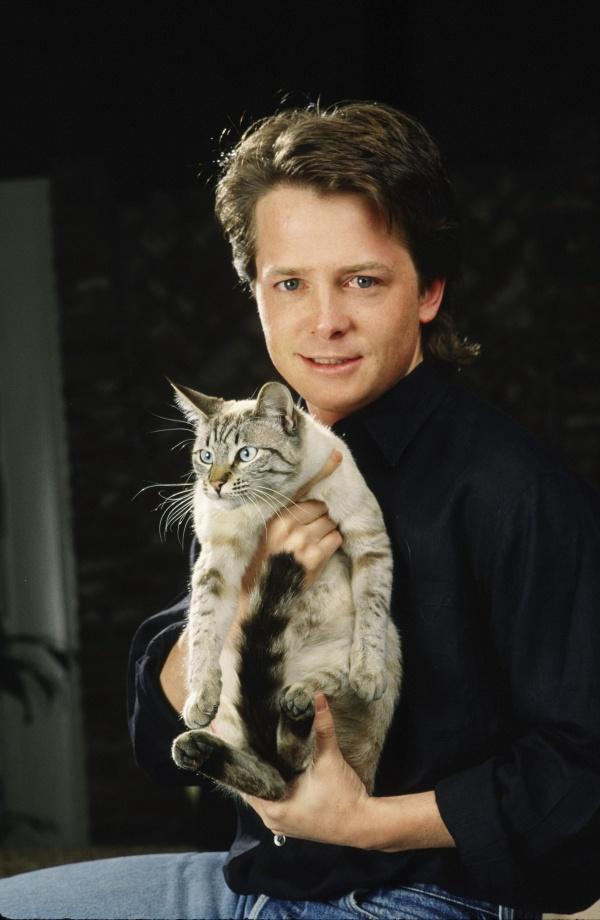 petoom_'s tweet image. Michael J. Fox adora a los #gatos ¿Lo sabías?