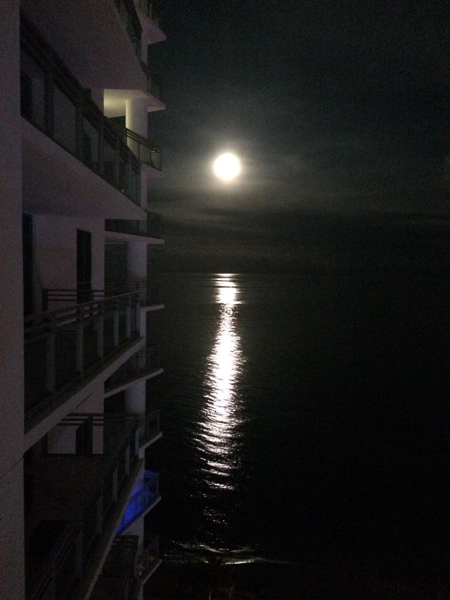 zgonz13's tweet photo. Great view from Hollywood, Florida. #SuperBloodmoon http://t.co/NIaUUujJjN
