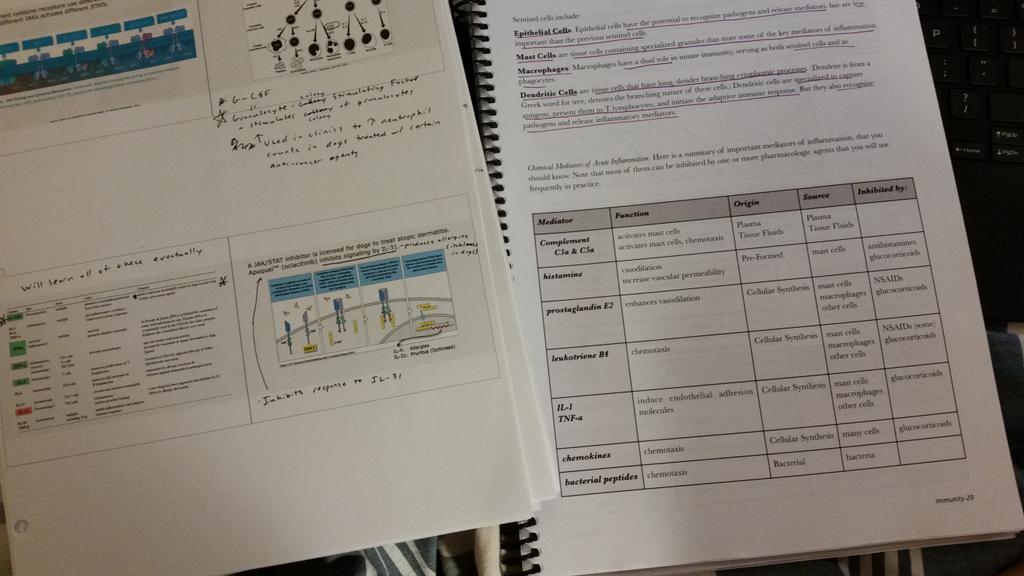 EliseBirkner's tweet photo. Chances of me remembering this stuff on an Immunology exam tomorrow=Not very good. #1VM #Vetschoollife #Screwed http://t.co/puXNKcNWS1