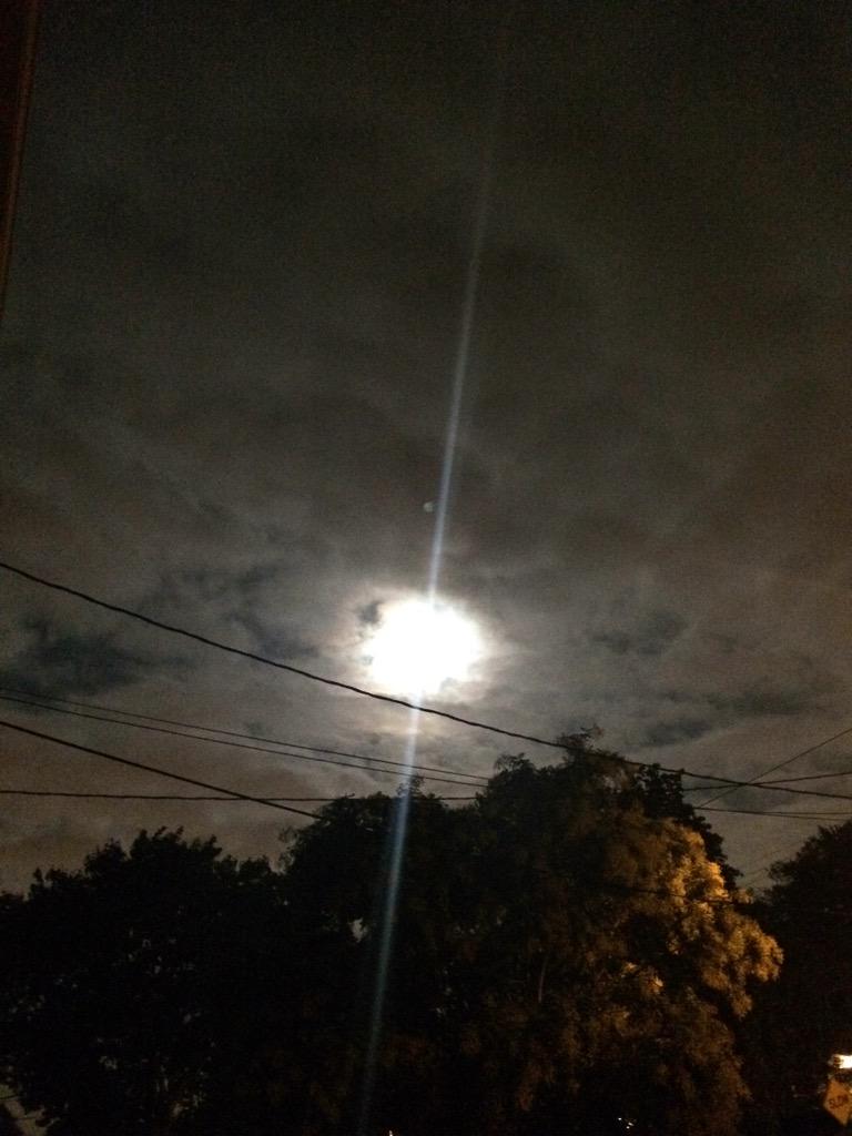 Luisa Silva (@luisasilva44) on Twitter photo 