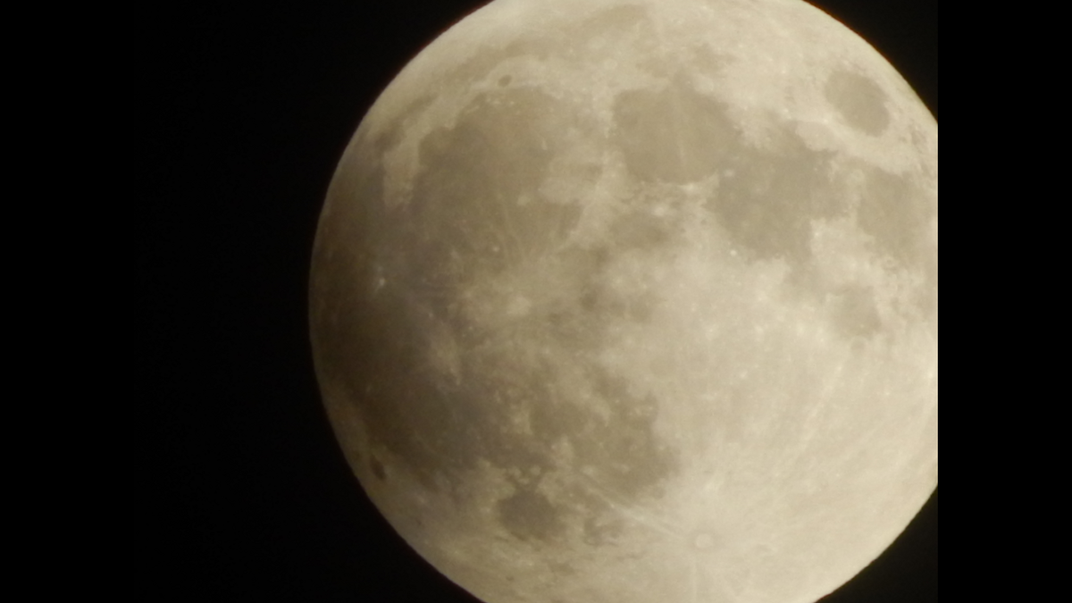 #SUPERmOON tweet media