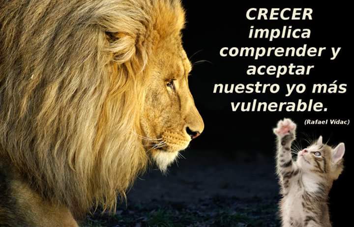 urso41 tweet picture