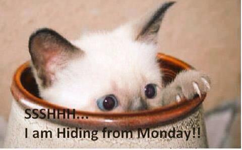 BellHotelDriff's tweet photo. Monday morning feeling and it's still only Sunday http://t.co/CztzGITLGh