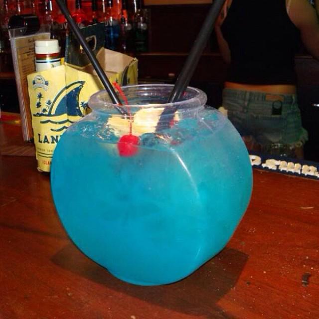 SunnyBeach2016's tweet photo. Cocktails Sunny Beach Style! 🍹🍹

#SunnyBeachBulgaria #SunnyBeach2016 http://t.co/ahW7gjJjsz