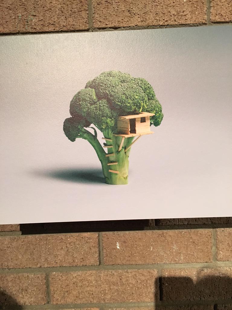 charmaineb89's tweet image. Midget tree!!! @thebodycoach #DismalandBemusementPark thought of you!!! #broccoli #midgettree #Leanin15