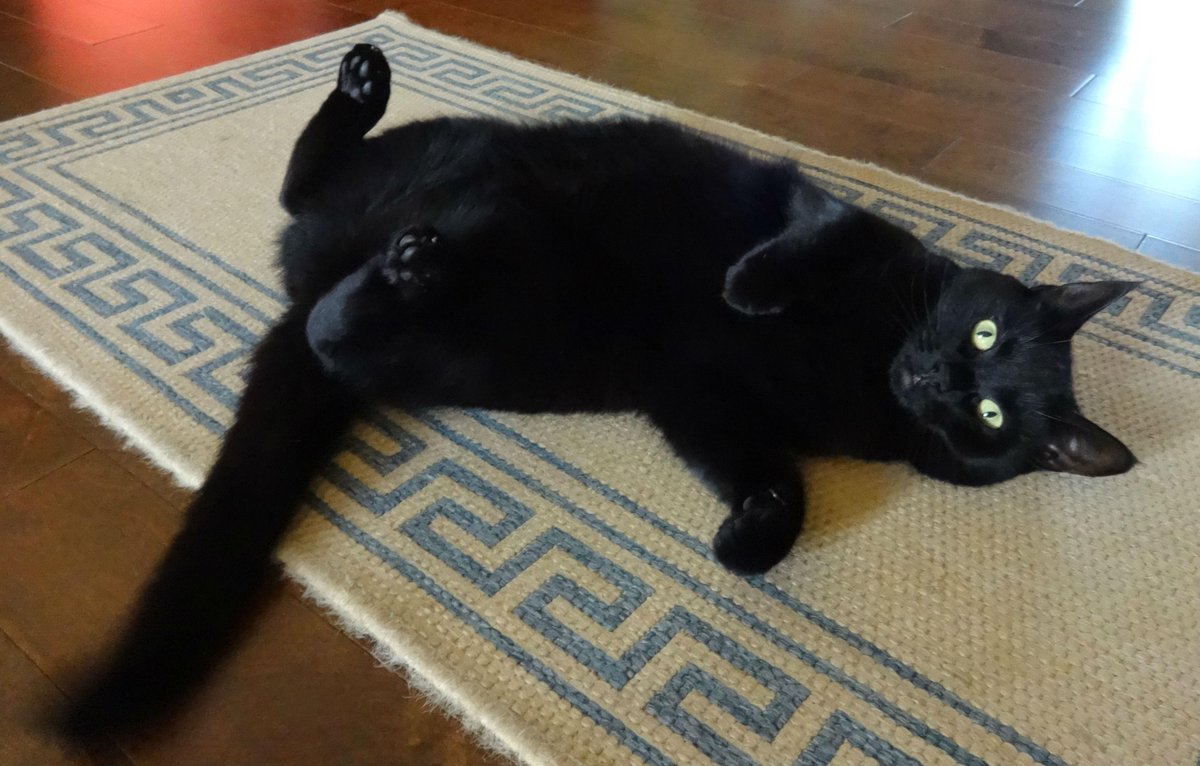 As we leave Cape Breton tomorrow we say au revoir &amp; thanks to our many friends <a href="/warycat/">David Rae - Freedom, hope, humanity, ecology</a> <a href="/Feartycat/">Roz Fae Fife🦊🐇🕷🦔🦇🐝 😺#FBR🏴󠁧󠁢󠁳󠁣󠁴󠁿</a> <a href="/Capebretonrail/">D C Rae</a>