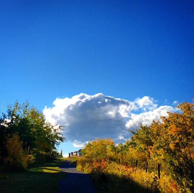 jtradke72's tweet photo. Today's run included my little girl!
#SundayFunday #fatherdaughterrun #RunTagIt #yyc #cougarridge http://t.co/UeUykxOcpw