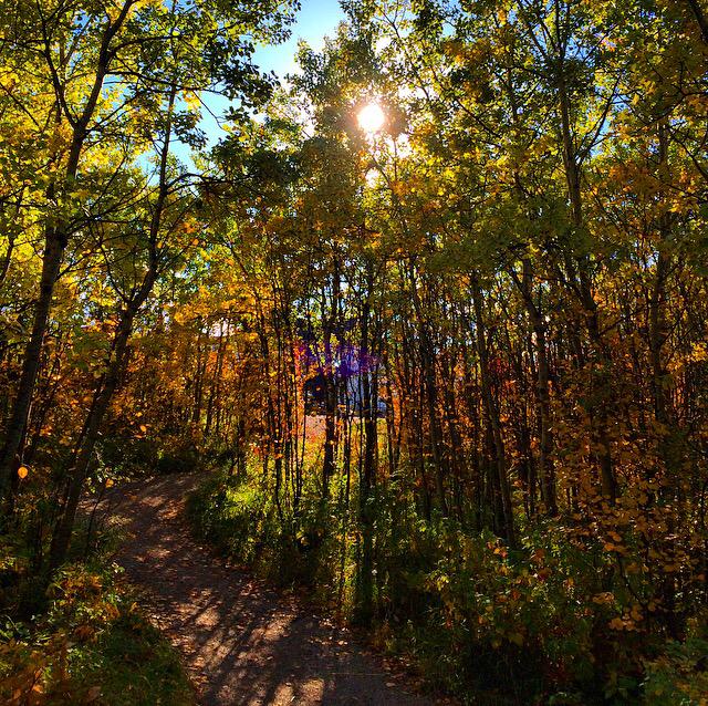 jtradke72's tweet photo. Today's run included my little girl!
#SundayFunday #fatherdaughterrun #RunTagIt #yyc #cougarridge http://t.co/UeUykxOcpw