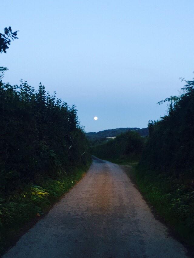 thisismechell87's tweet image. #Supermoon whilst in Torpoint this evening!