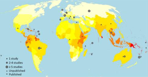 #Leptospirosis study unmasks global impact - it infects a million and kills ~ 60,000/year  scidev.net/asia-pacific/d…
