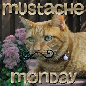 YRHS SRC tweet media