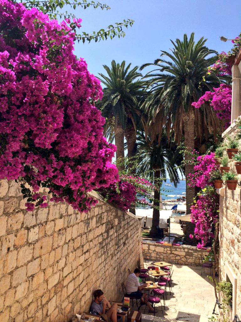 KatLarson17's tweet photo. Happy 25th to @gadventures! Had fantastic trips along the Adriatic - can't wait for more! #G25throwback #gadv http://t.co/hbI4kzpKVX