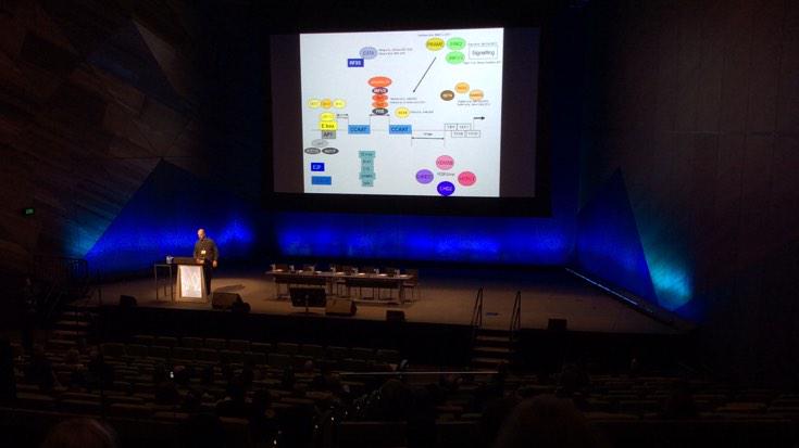 DrMegsW's tweet image. Transcription, gene regulation, it&apos;s complicated #ComBio2015