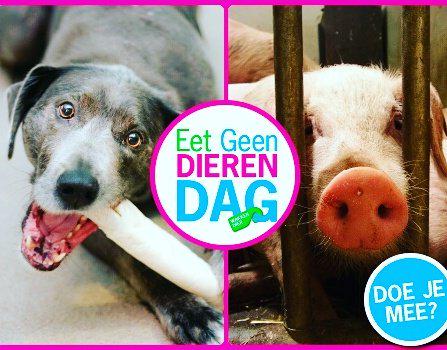 Friedjof Kempenaar tweet media