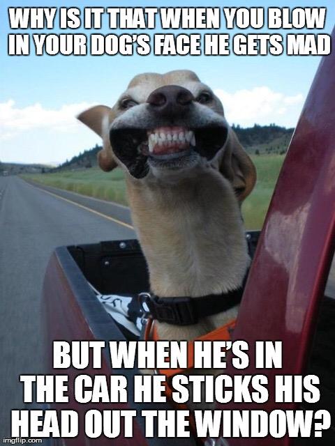 CountryKritter's tweet photo. @condogrammy @Lisayoung01 http://t.co/BZFlBy9Knj