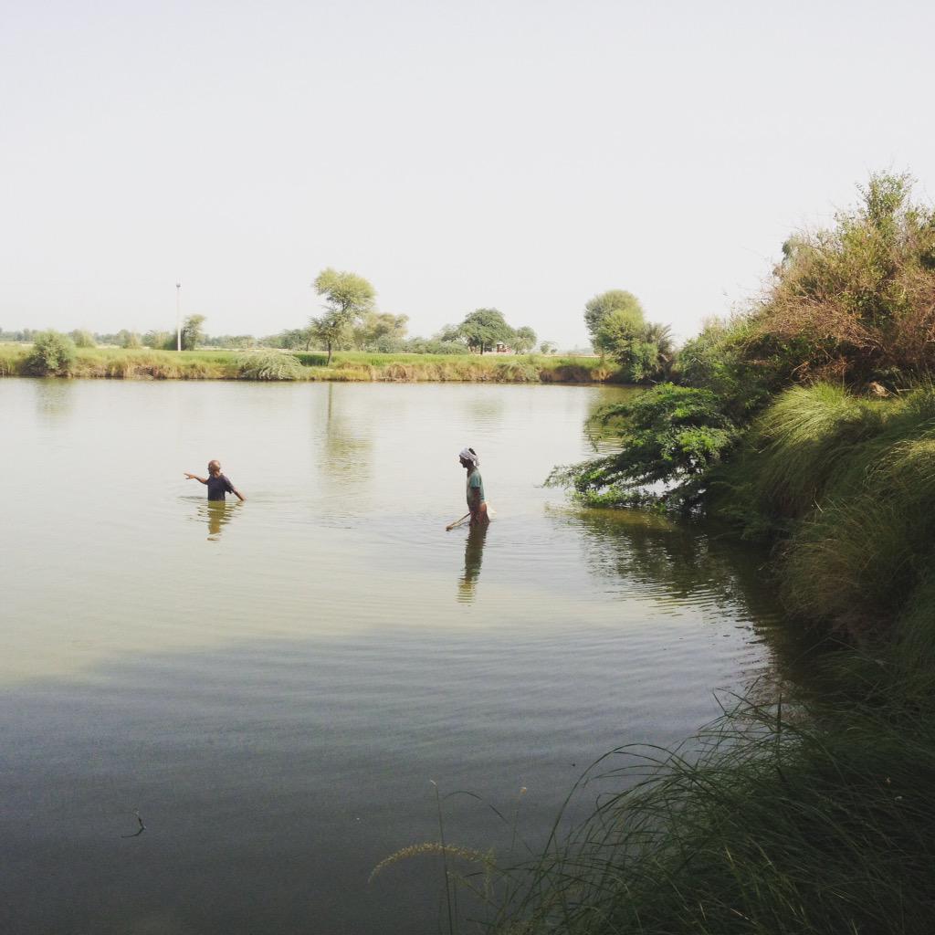 DarthWadera's tweet image. #FishPond #CatchAFish #FreshFromFarm #Village