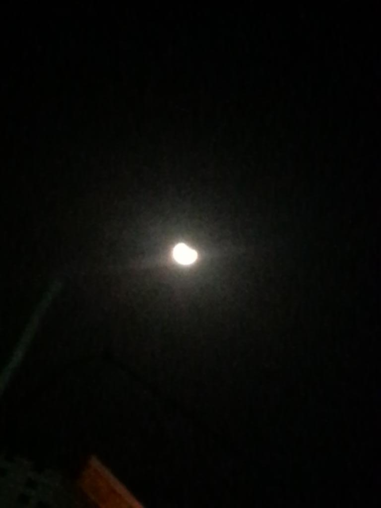 weeeew61 tweet picture