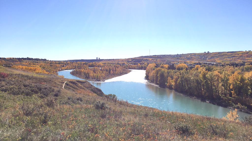 ShaneBayly's tweet photo. Walking today with @jcourtenay86 and the pooches. So lucky to live in such a beautiful country! 🇨🇦❤️ http://t.co/1U52sCyFfn