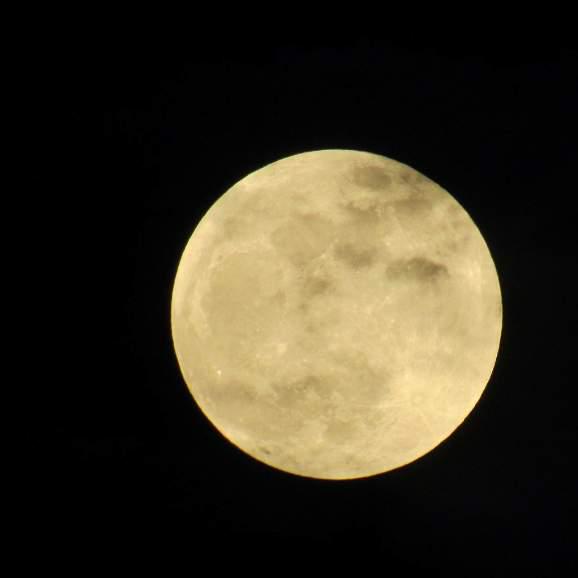 quech11's tweet photo. @daisyru83 @paulisvargas14 guarda la luna piu bella di settembre #bigmoon #EclipseLunar #mooneclips #PTY http://t.co/pE0B9S3y18