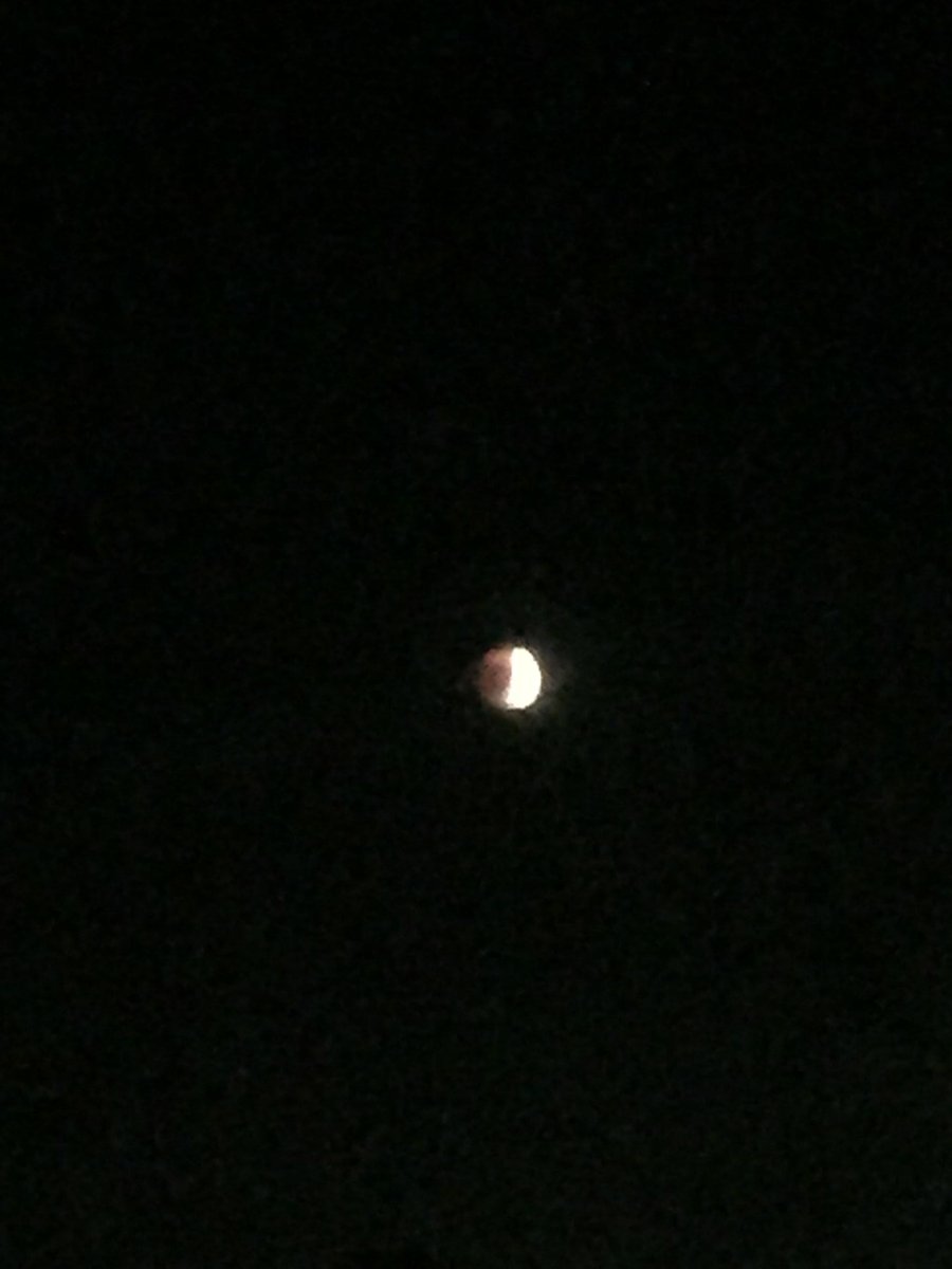 CarmenP_EPISD's tweet photo. Watching the lunar eclipse!@HerreraElem1 http://t.co/NzBymsirHI