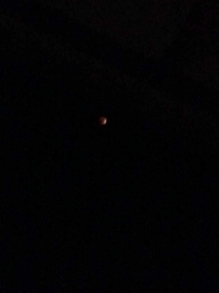 ShariKimmyDee's tweet image. Yikes! The moon is gone and with it all light by which to take any pics. Sigh. #supermooneclipse2015