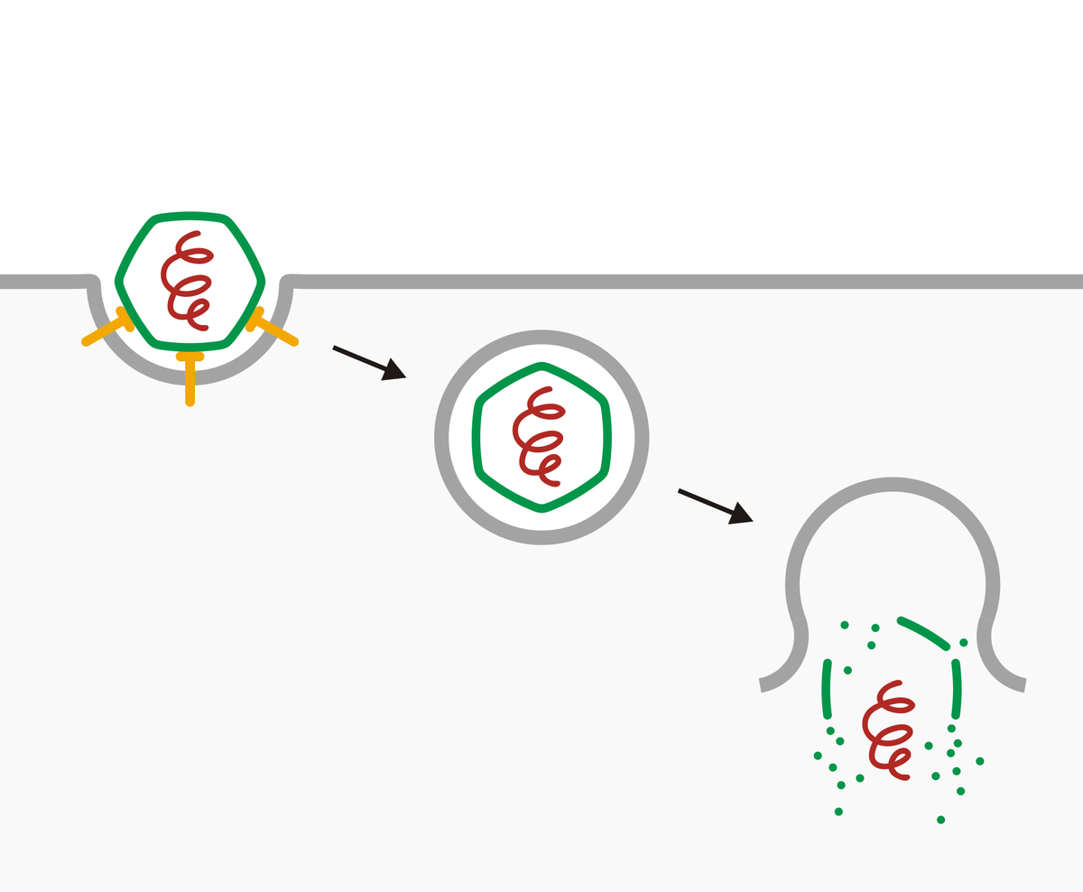 cleanersomes's tweet photo. @murphyapbio @SydneyJade2016 Can you explain what's happening here? #Inefficient http://t.co/Dcb7Zqzi6M http://t.co/0If2pCNKkz