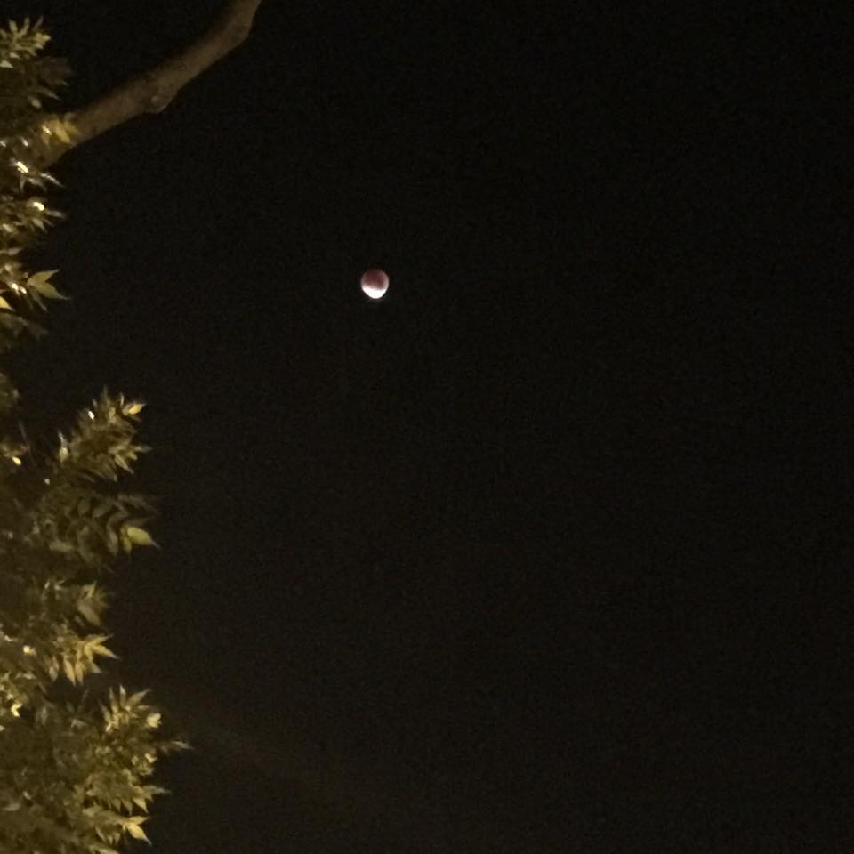 paranchj's tweet photo. #SuperBloodMoon http://t.co/kEGudCCDjY