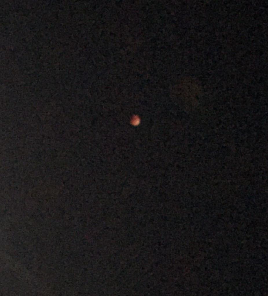 c_dewitt10's tweet photo. Just played Bonnie Tyler's "Total Eclipse of the Heart" while checking out this beauty. Seemed thematic #eclipse15 http://t.co/Cm3R79AK2a